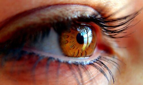 Wimpernlaminierung und Wimpernlifting zu Hause – lohnt sich das? Ich stelle empfehlenswerte Wimpernlifting Sets vor